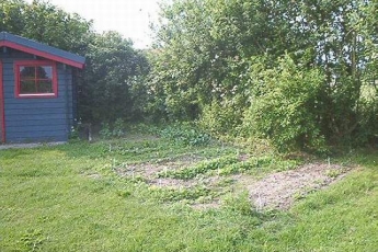 SCHULLEBEN - Schulgarten (Bild Gartenbeet) (547x369)
