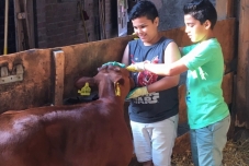 Bauernhof 2019  (6) (640x480)