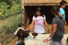 Bauernhof 2019  (9) (640x480)