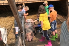 Klassenfahrt Bauernhof 2019  (1) (640x480)