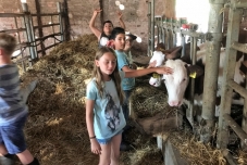 Klassenfahrt Bauernhof 2019  (11) (640x480)