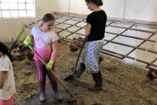 Klassenfahrt Bauernhof 2019  (18) (640x480)