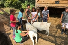 Klassenfahrt Bauernhof 2019  (2) (640x480)