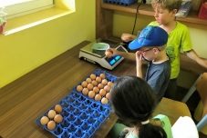 Klassenfahrt Bauernhof 2019  (23) (640x480)
