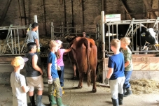 Klassenfahrt Bauernhof 2019  (24) (640x480)