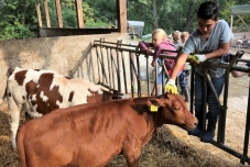 Klassenfahrt Bauernhof 2019  (26) (640x480)