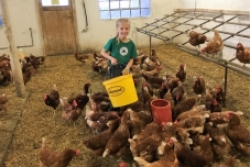 Klassenfahrt Bauernhof 2019  (29) (640x480)