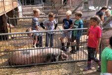 Klassenfahrt Bauernhof 2019  (3) (640x480)