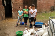 Klassenfahrt Bauernhof 2019  (30) (640x480)