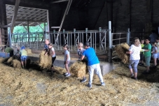 Klassenfahrt Bauernhof 2019  (36) (640x480)