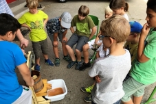 Klassenfahrt Bauernhof 2019  (38) (640x480)
