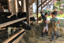 Klassenfahrt Bauernhof 2019  (5) (640x480)