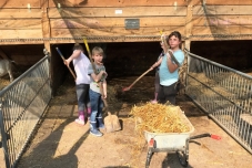 Klassenfahrt Bauernhof 2019  (7) (640x480)