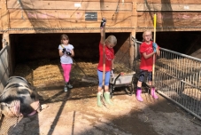 Klassenfahrt Bauernhof 2019  (8) (640x480)
