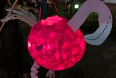 Laternenfest 2025  (4) (480x640)