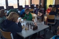 Schach-Wettkampf 2016 (480x640) (2)