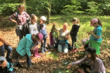 Waldtage 2019 (640x480)  (3)