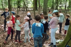 Waldtage 2022  (8) (640x480)