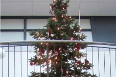 Weihnachtsfeier in der Schule 2016 (4) (640x639)